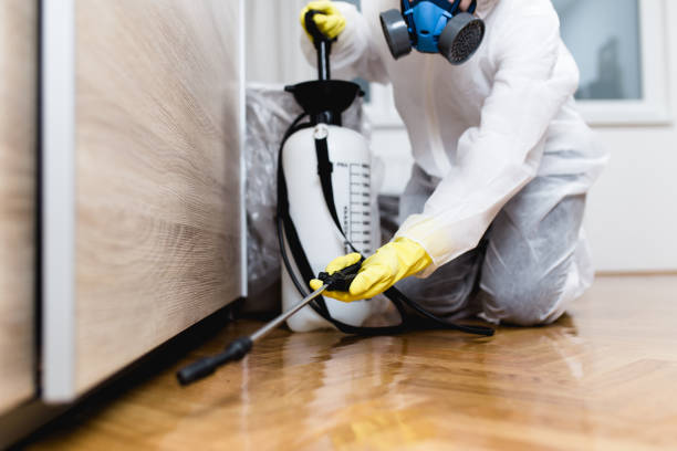 Professional Pest Control in Jefferson, LA