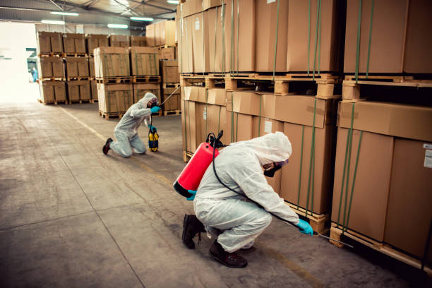 Best Ant Control Services  in Jefferson, LA