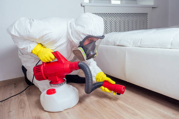 Best Best Pest Control Companies  in Jefferson, LA