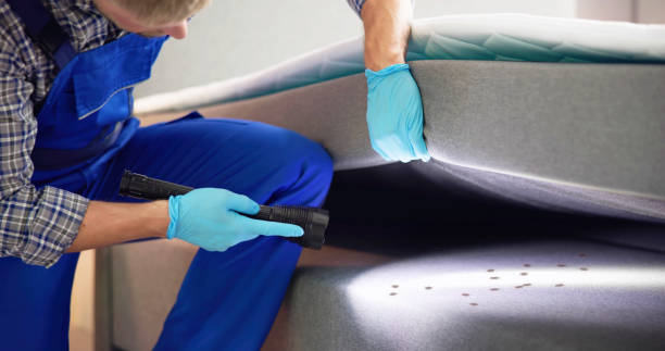 Best Affordable Pest Control Services  in Jefferson, LA