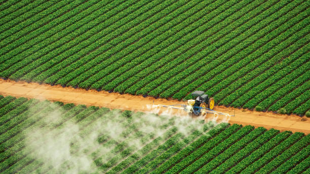 Best Pest Prevention Services  in Jefferson, LA