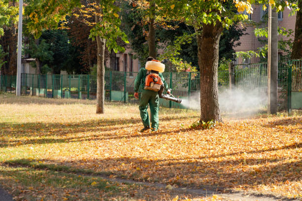 Best Pest Removal Services  in Jefferson, LA