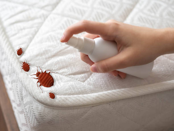 Best Termite Control Services  in Jefferson, LA