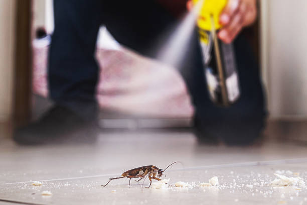 Best Mosquito Control Services  in Jefferson, LA