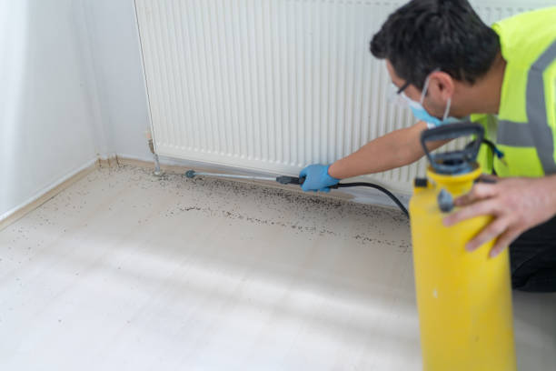 Best Cockroach Control Services  in Jefferson, LA