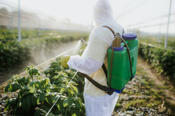 Flea Control Services in Jefferson, LA